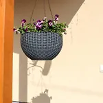 Apartment Bazaltorgona